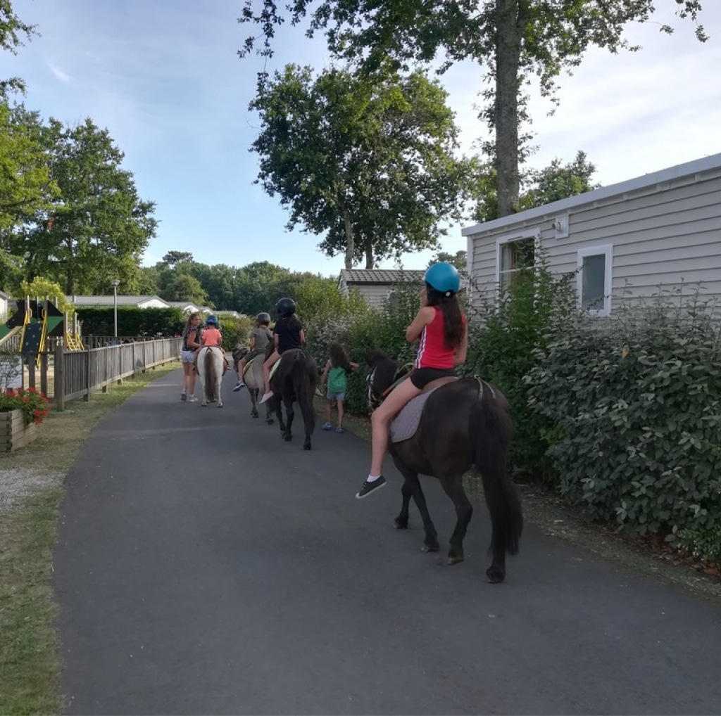 paardrijtochten camping royan