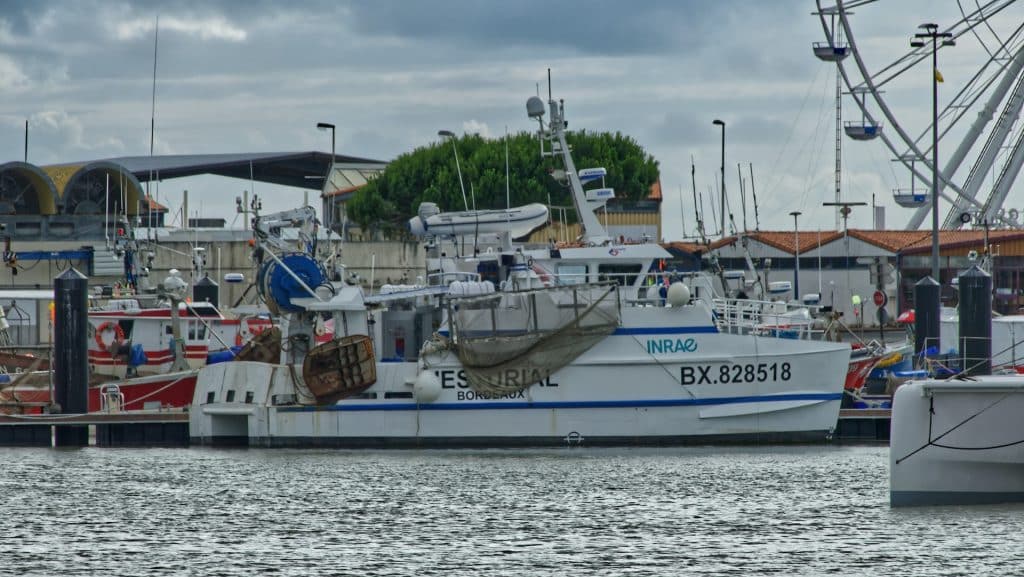 port de Royan près du camping en Charente Maritime