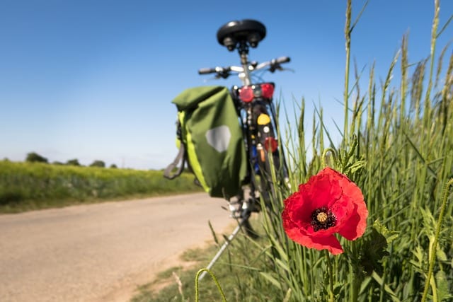 Royan à vélo